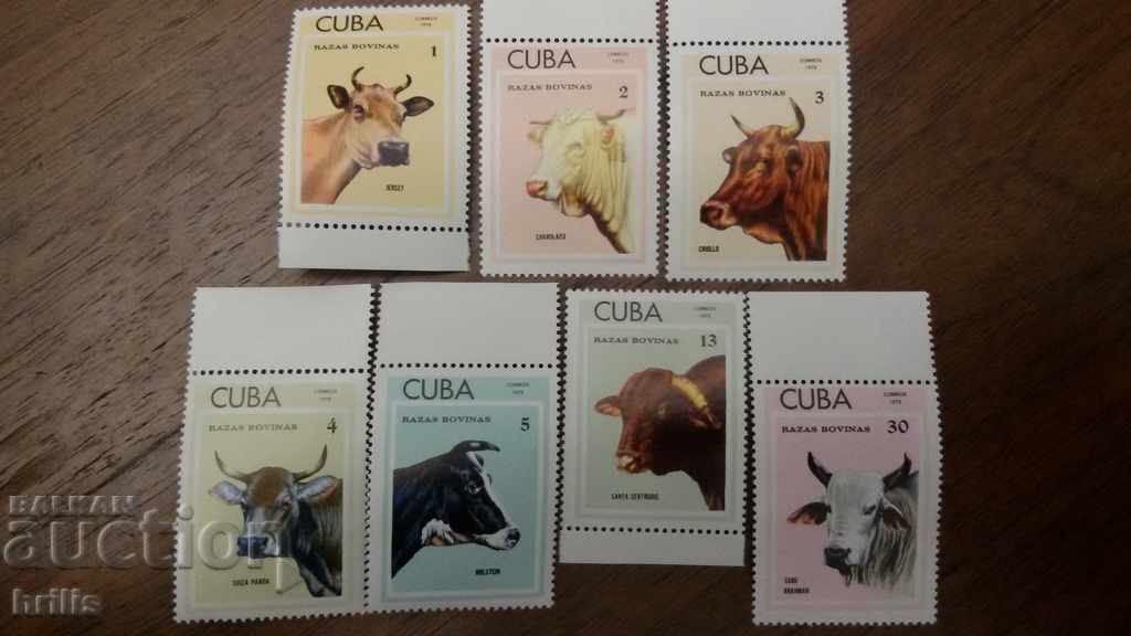 Cuba 1973 - Fauna, crescând bovine