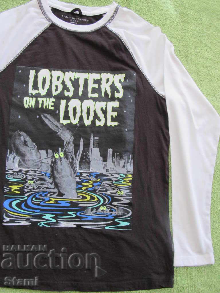 Stella McCartney blouse for a boy, size 12 years with price 9.00 BGN | € 4.60