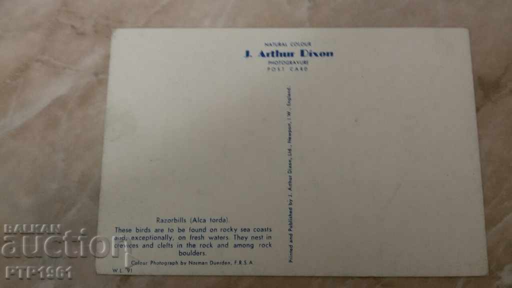 birds with price 1.00 BGN | € 0.51 birds with price 1.00 BGN | € 0.51