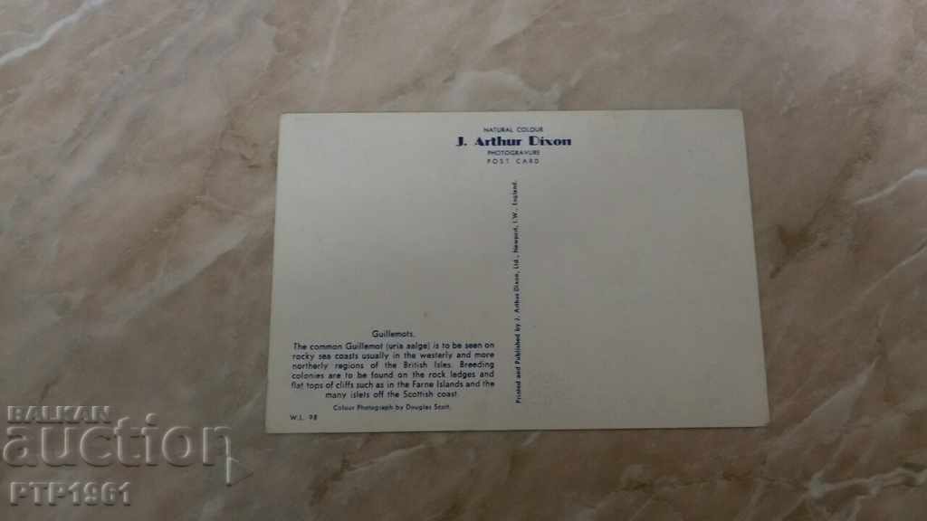 πουλιά με τιμή € 0.50 | 0.98 BGN