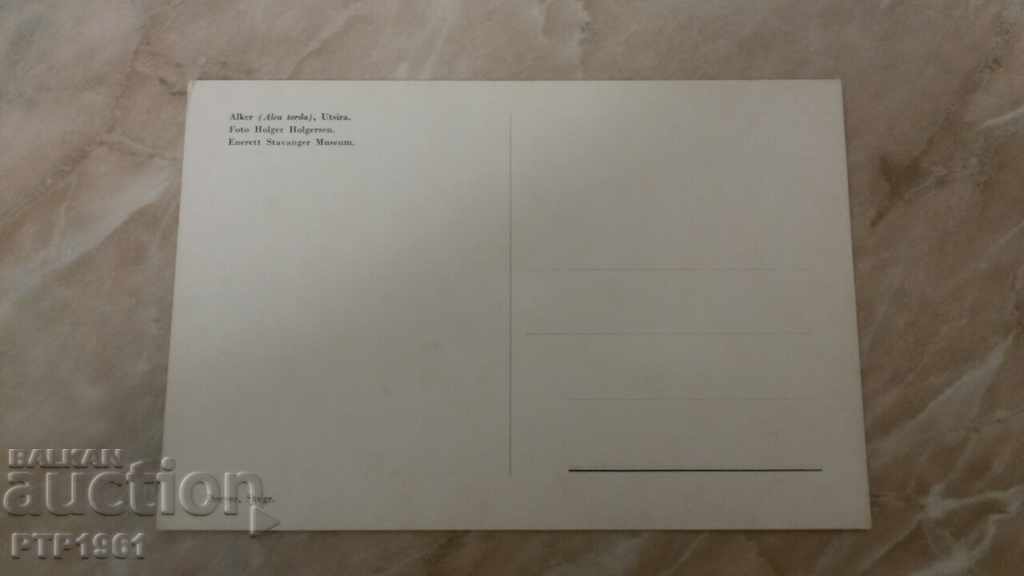 πουλιά με τιμή € 0.50 | 0.98 BGN