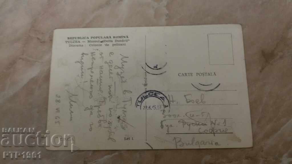 πελεκάνος με τιμή 0.25 €