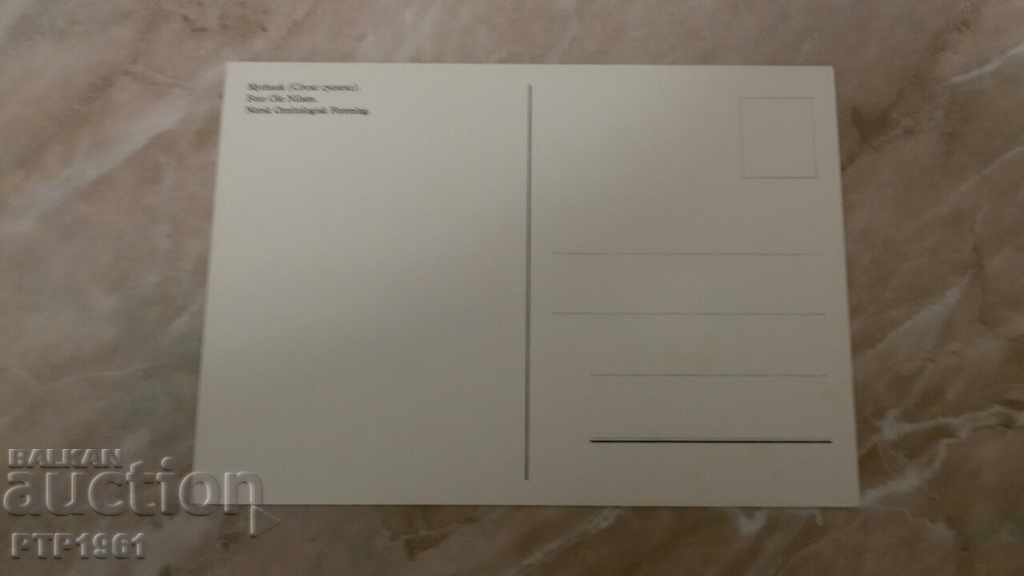 păsări cu preț 1.00 BGN | € 0.51 păsări cu preț 1.00 BGN | € 0.51