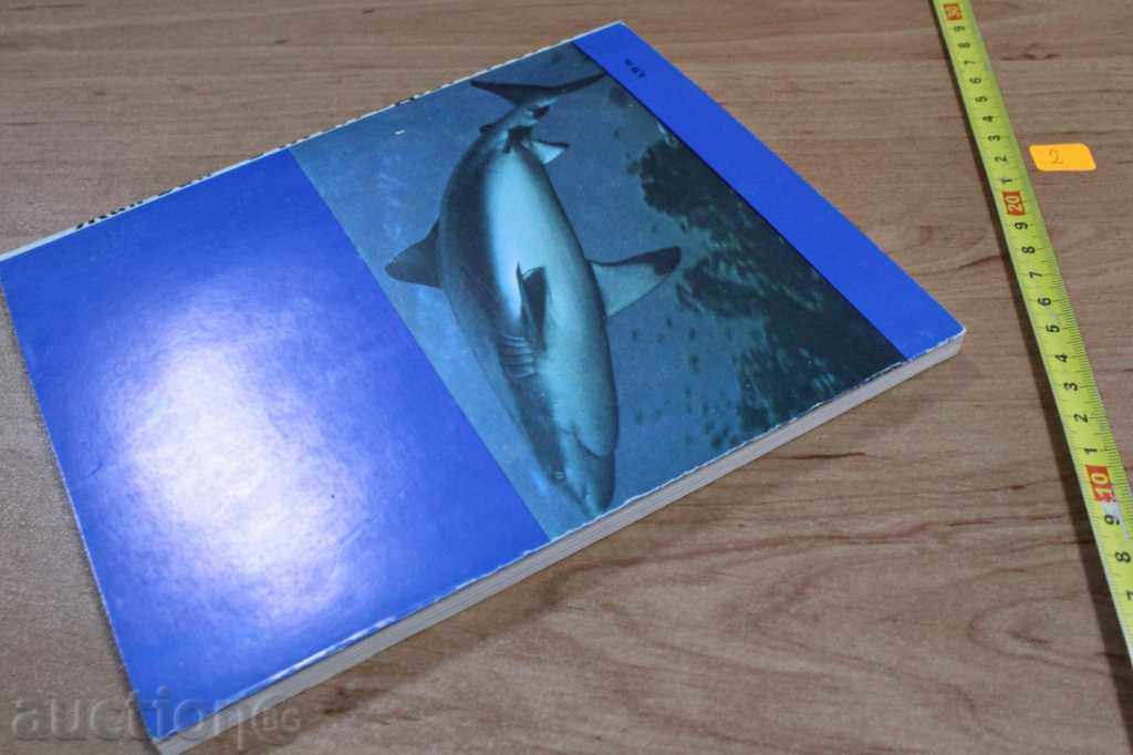 IN THE BEGINNING WITH THE SEA - 5 IN THE BEGINNING WITH THE SEA - 5