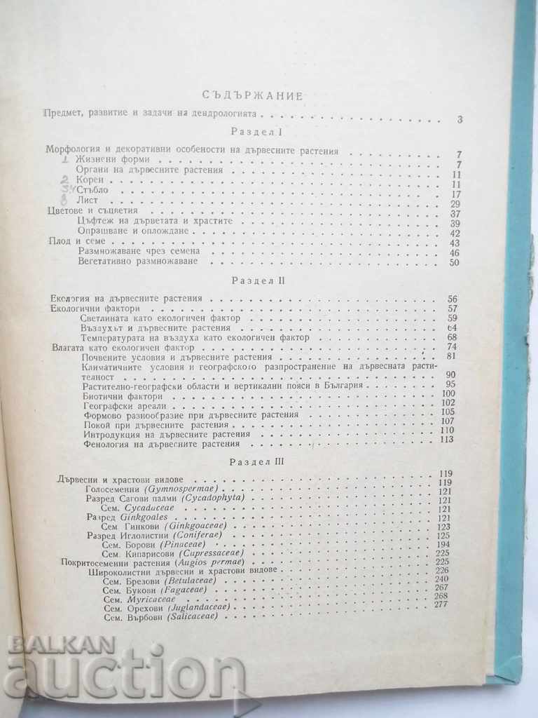 Decorative Dendrology - Atanas Ganchev 1962 - 6 Decorative Dendrology - Atanas Ganchev 1962 - 6