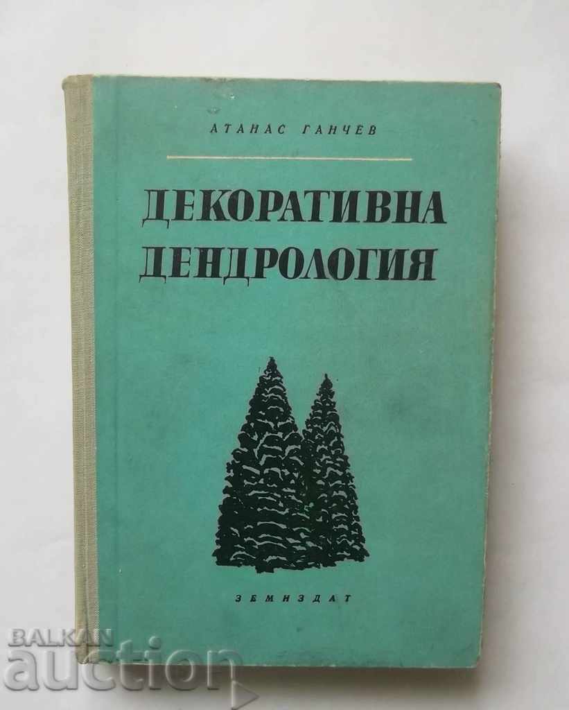 Dendrologia decorativă - Atanas Ganchev 1962