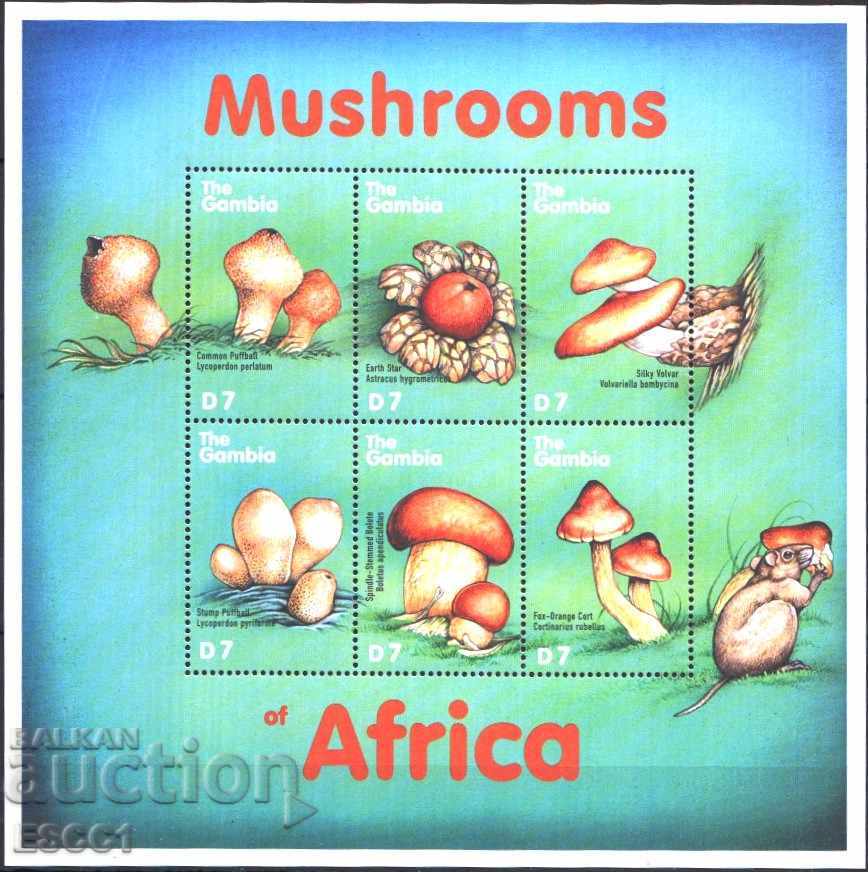 Pure brands in a small leaf Flora Mushrooms 2000 from Gambia
