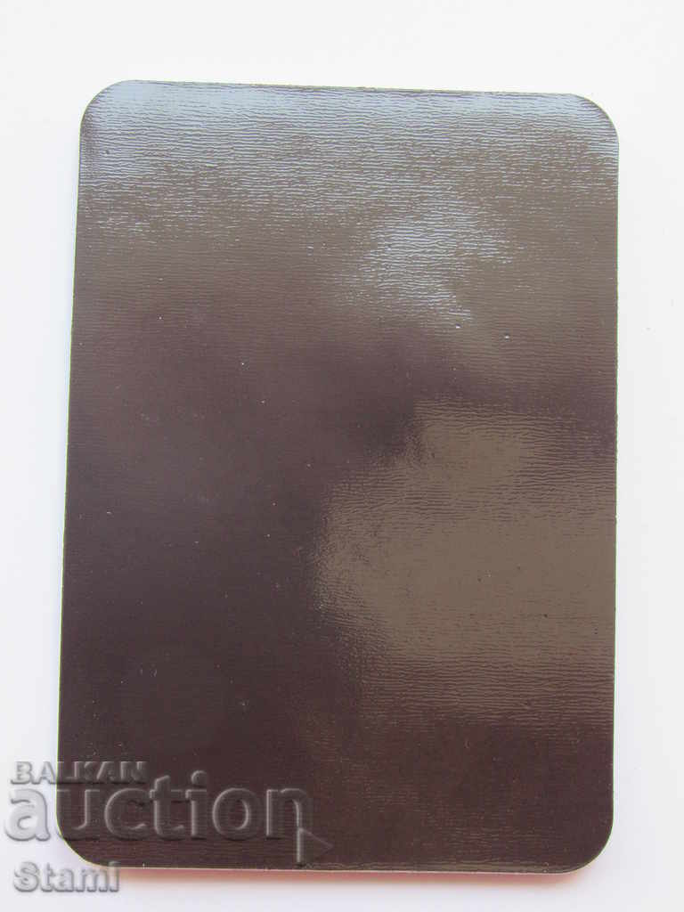 Authentic 3D magnet from Lake Baikal, Russia-series-2 - 5 Authentic 3D magnet from Lake Baikal, Russia-series-2 - 5