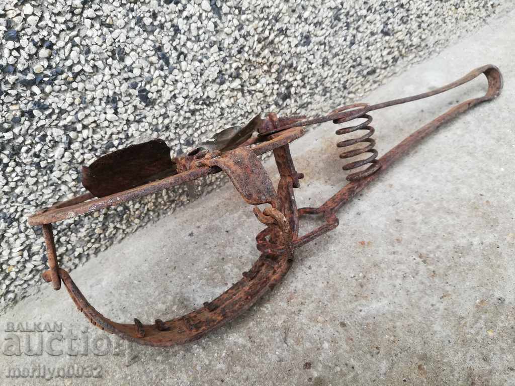 Hand forged trap with wrought iron spikes with price 49.00 BGN | € 25.05 Hand forged trap with wrought iron spikes with price 49.00 BGN | € 25.05