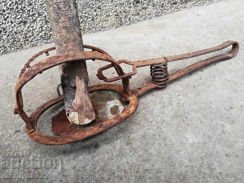 Hand forged trap with wrought iron spikes - 6 Hand forged trap with wrought iron spikes - 6