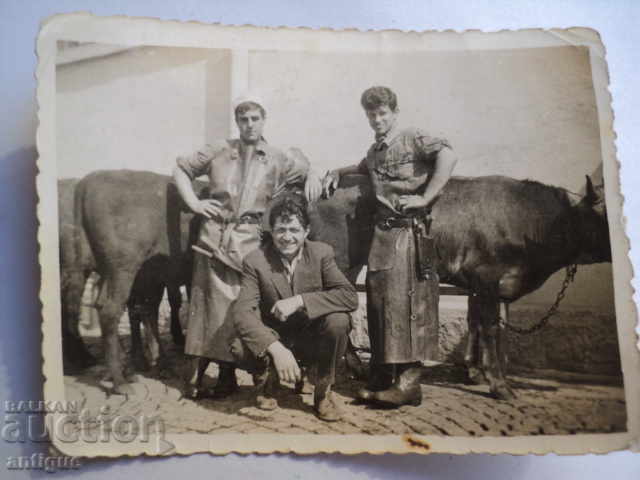 Auction STAR PICTURE - CACAPS. Auction STAR PICTURE - CACAPS.