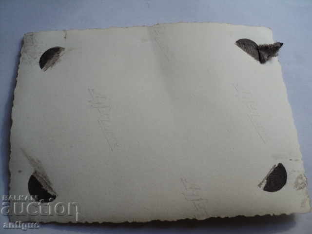 OLD PICTURE - WONDERFUL, HORSE. with price 10.00 BGN | € 5.11 OLD PICTURE - WONDERFUL, HORSE. with price 10.00 BGN | € 5.11