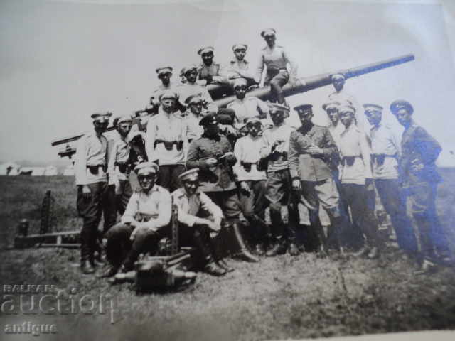 Delivery of OLD PICTURE - WONDERFUL, HORSE. Delivery of OLD PICTURE - WONDERFUL, HORSE.