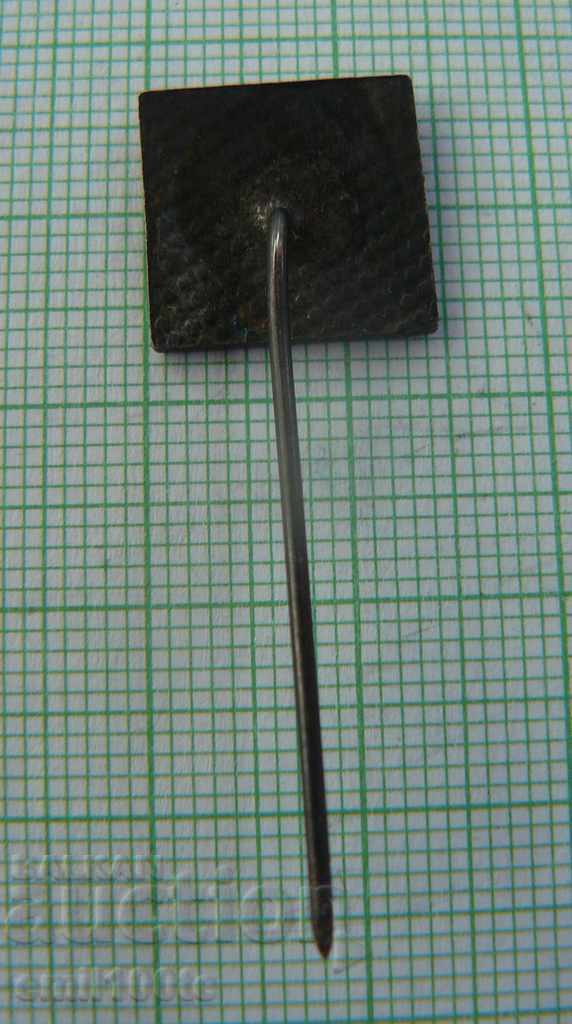 Livrarea Insigna - instructor de sport public BSBF