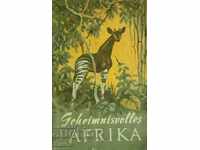 Geheimnisvolles Africa - H. Freyberg
