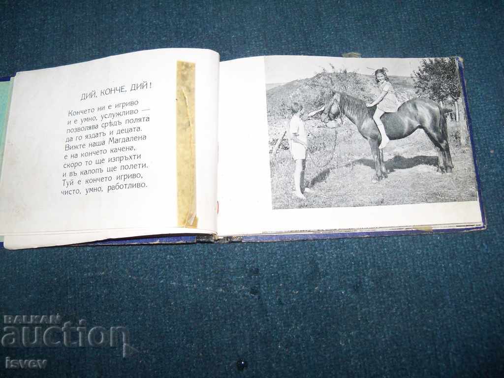 Delivery of "My Companions" - children's book from 1943 Delivery of "My Companions" - children's book from 1943