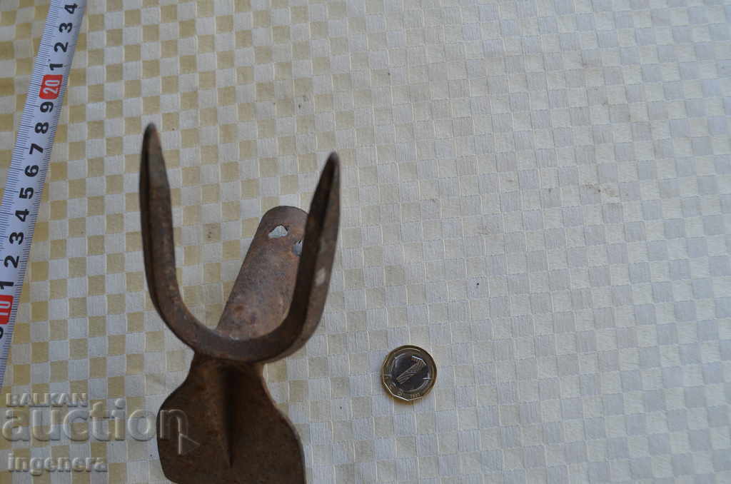 Auction STAR HORSES KALASTIRKA Auction STAR HORSES KALASTIRKA