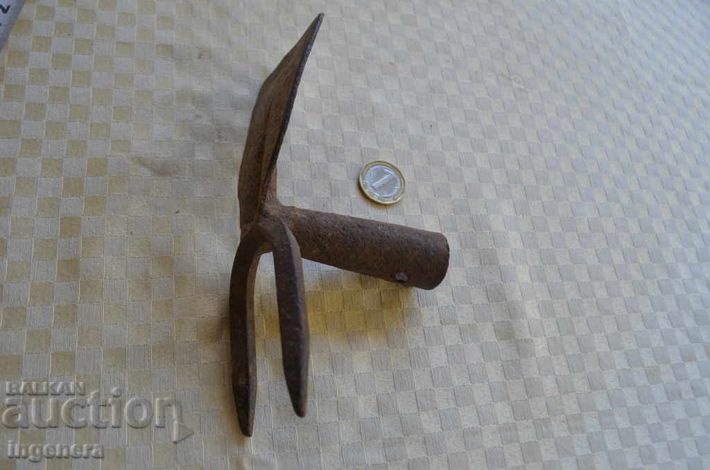 Delivery of STAR HORSES KALASTIRKA Delivery of STAR HORSES KALASTIRKA