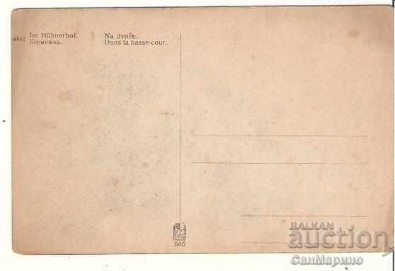 Cehă Cartea Minerva Publishing Lot trei bucăți * - 5 Cehă Cartea Minerva Publishing Lot trei bucăți * - 5