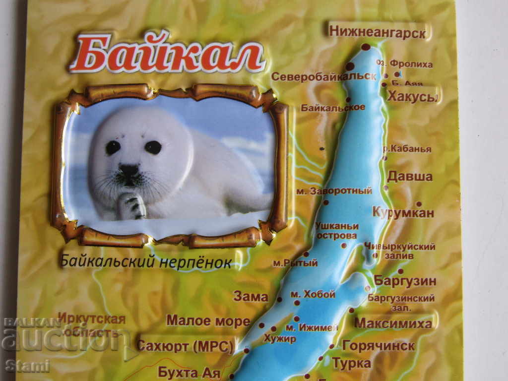 Authentic 3D magnet from Lake Baikal, Russia-32 series with price 11.20 BGN | € 5.73 Authentic 3D magnet from Lake Baikal, Russia-32 series with price 11.20 BGN | € 5.73