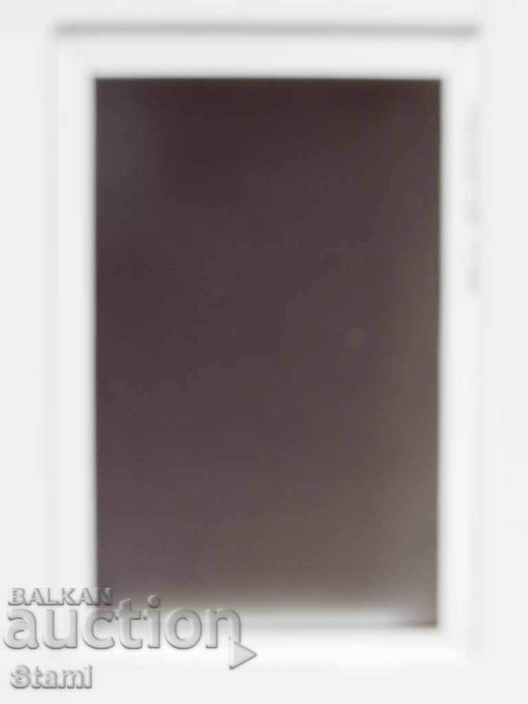 Auction Authentic 3D magnet from Lake Baikal, Russia-32 series Auction Authentic 3D magnet from Lake Baikal, Russia-32 series