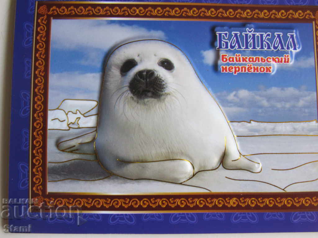 Παράδοση Αυθεντικός 3D μαγνήτης από τη λίμνη Baikal, Ρωσία-33 σειρά