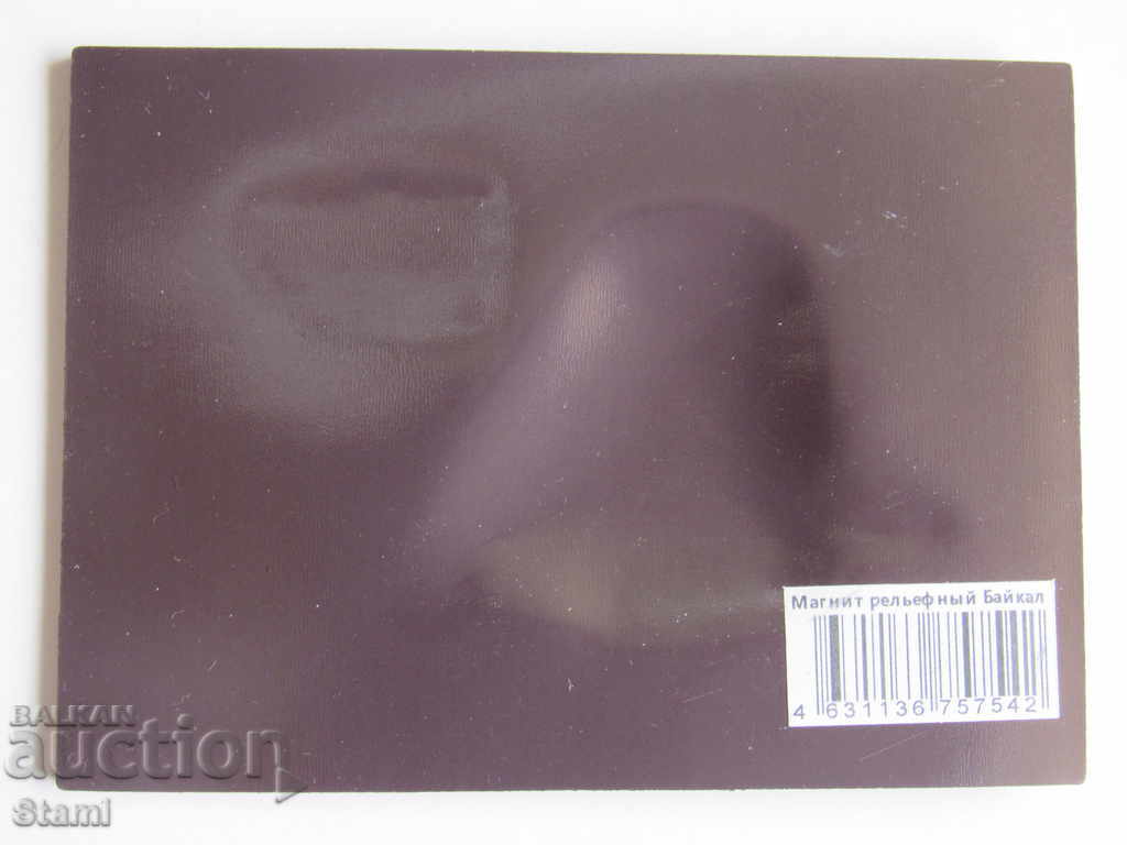 Αυθεντικός 3D μαγνήτης από τη λίμνη Baikal, Ρωσία-33 σειρά - 5