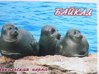 Magnet autentic de la Lacul Baikal, seria Rusia-30