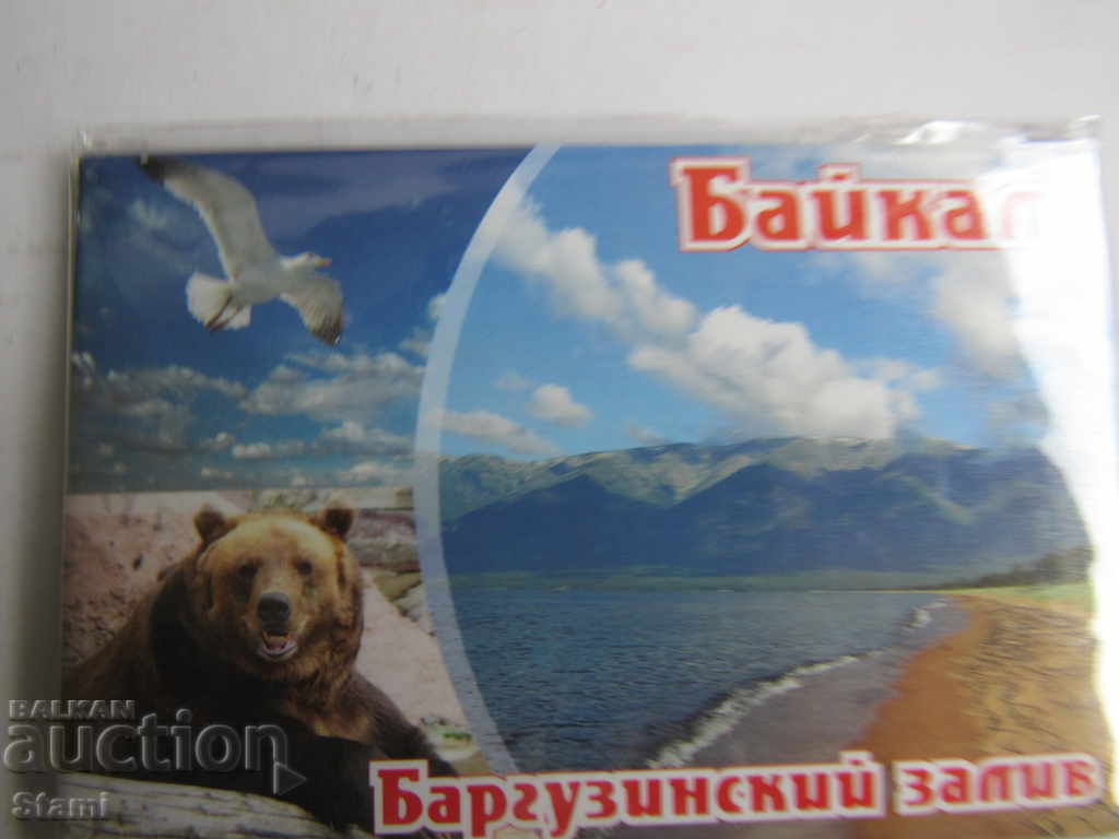 Auction Authentic magnet from Lake Baikal, Russia-31 series Auction Authentic magnet from Lake Baikal, Russia-31 series