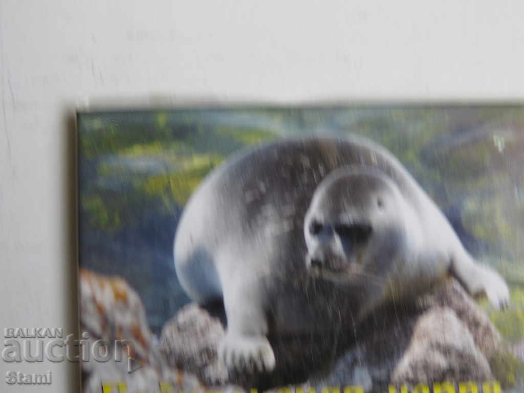 Authentic magnet from Lake Baikal, Russia-34 series with price 7.50 BGN | € 3.83 Authentic magnet from Lake Baikal, Russia-34 series with price 7.50 BGN | € 3.83