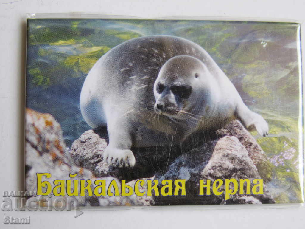Auction Authentic magnet from Lake Baikal, Russia-34 series Auction Authentic magnet from Lake Baikal, Russia-34 series