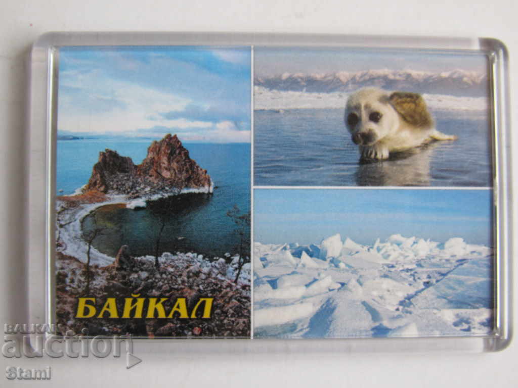 Auction Authentic magnet from Lake Baikal, Russia-35 series Auction Authentic magnet from Lake Baikal, Russia-35 series