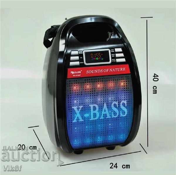 Στήλη καραόκε RX 810 BT + FM MP3, BT, μικρόφωνο με τιμή 84.50 BGN | € 43.20 Στήλη καραόκε RX 810 BT + FM MP3, BT, μικρόφωνο με τιμή 84.50 BGN | € 43.20