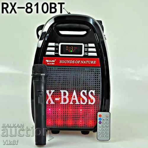 Παράδοση Στήλη καραόκε RX 810 BT + FM MP3, BT, μικρόφωνο Παράδοση Στήλη καραόκε RX 810 BT + FM MP3, BT, μικρόφωνο