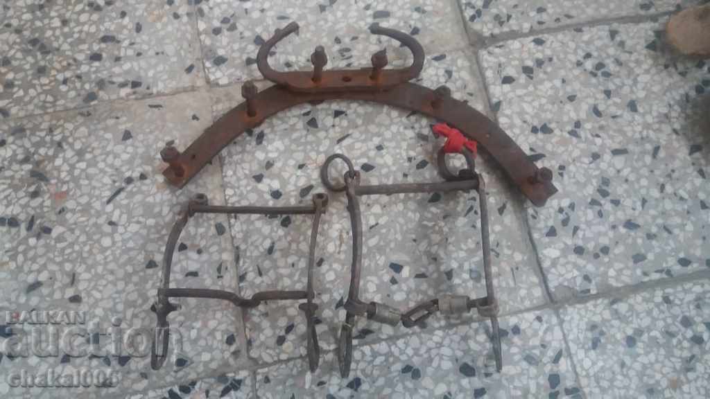 Remains of bridle