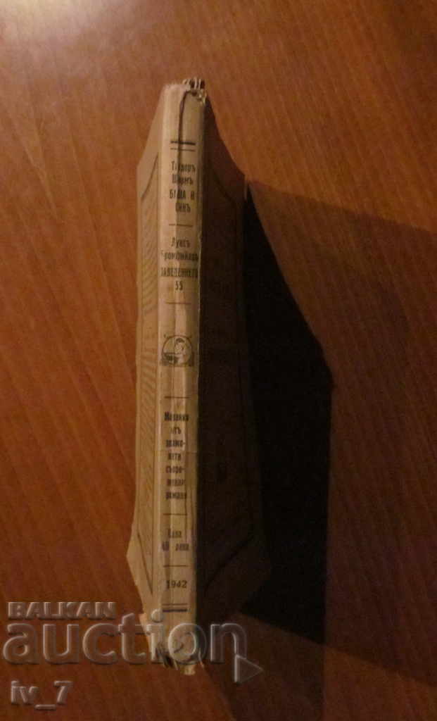 FATHER AND SON - THEODOR STORM - 5 FATHER AND SON - THEODOR STORM - 5