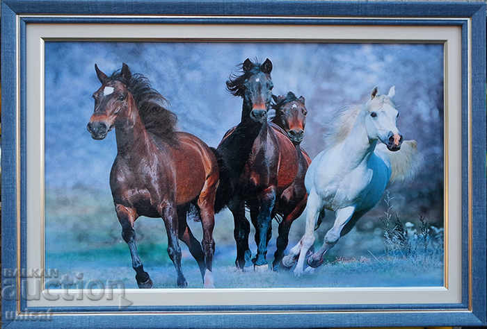 Τέσσερα αραβικά άλογα, πλαισιωμένη εικόνα