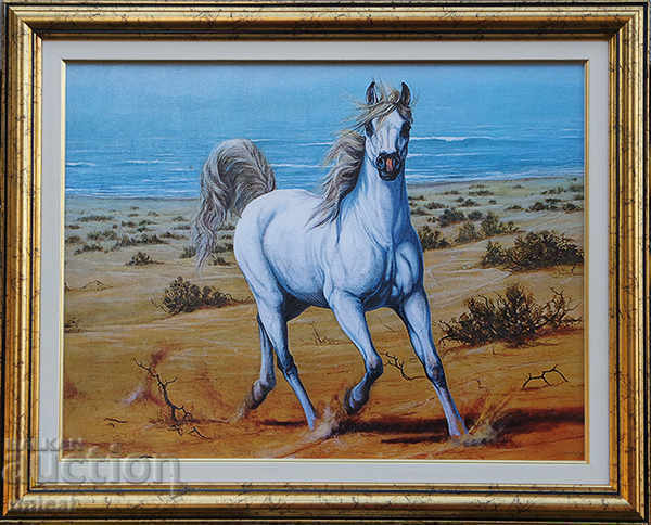 Бял кон на морския бряг, картина с рамка