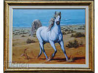 White horse on the seashore, framed picture