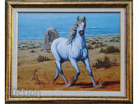 White horse on the seashore, framed picture