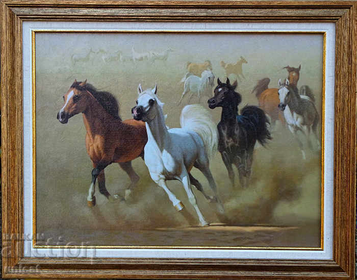 Arabian horses in the desert, framed picture Arabian horses in the desert, framed picture