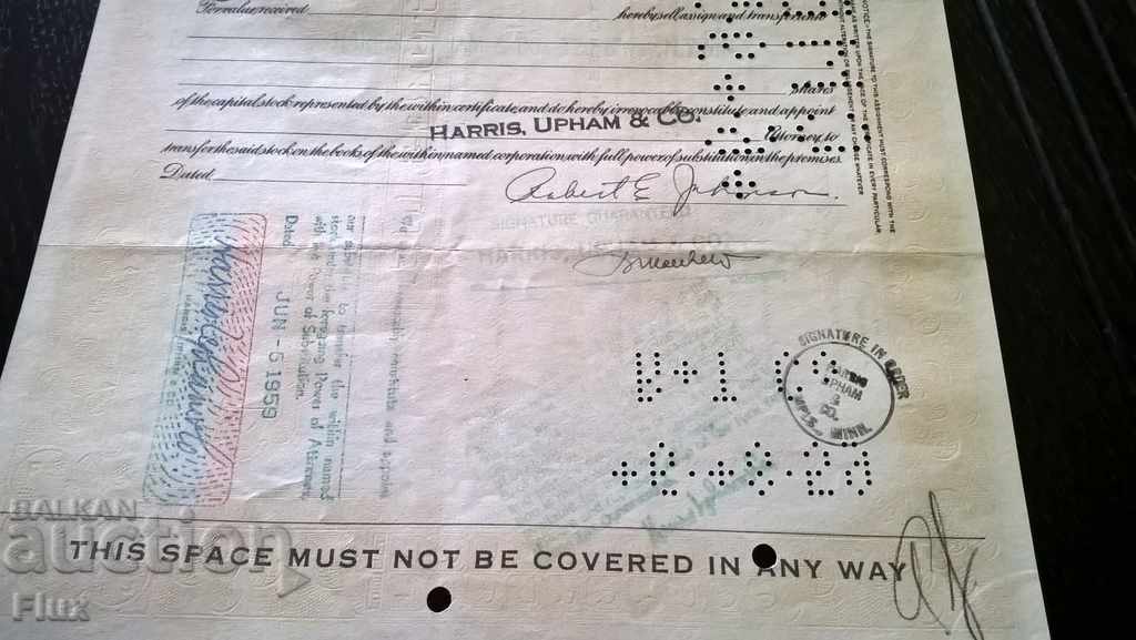 Share certificate Food Fair Stores, INC. | 1958 - 6