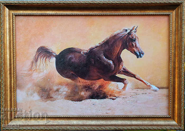 Rush, horse, framed picture