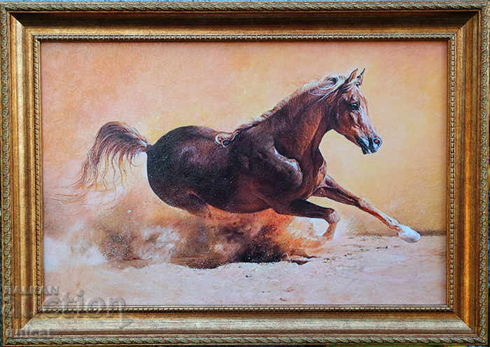 Rush, horse, framed picture Rush, horse, framed picture