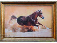 Rush, horse, framed picture