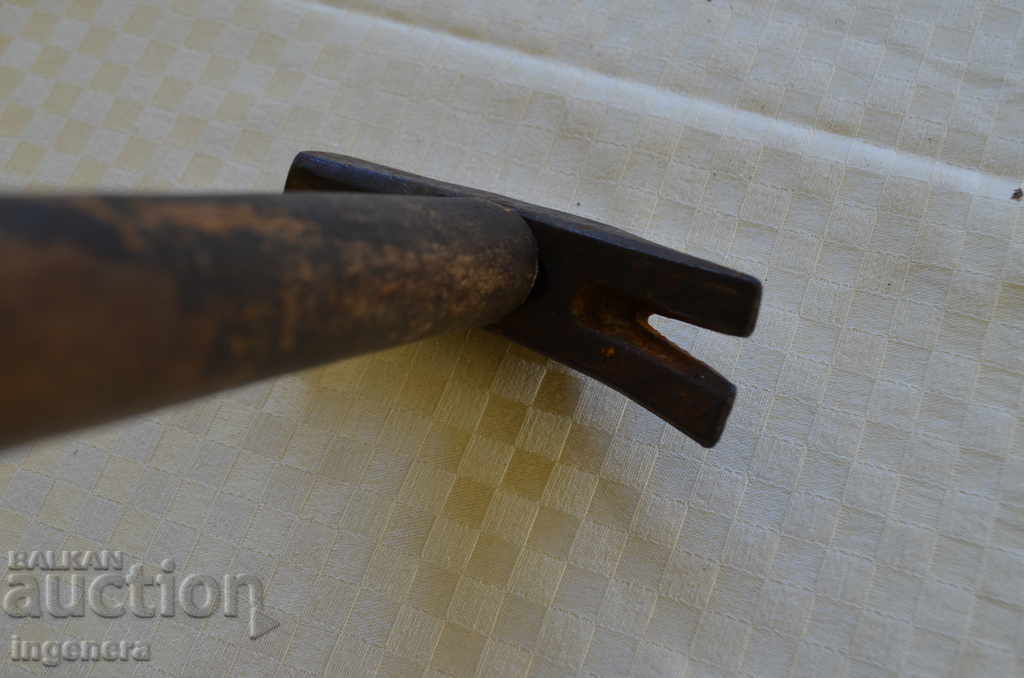 Delivery of STAR PIECE, CHICKEN MARKING-300 Delivery of STAR PIECE, CHICKEN MARKING-300