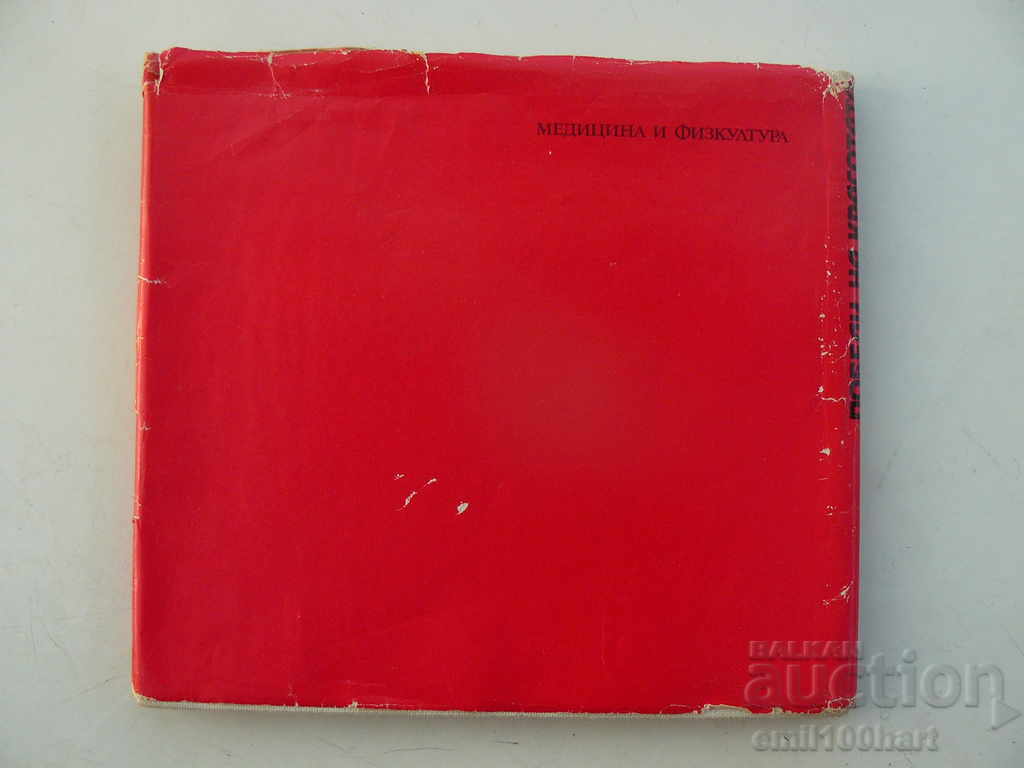 Victories of Beauty - Margarita Rangelova Emil Mandzarov with price 14.00 BGN | € 7.16 Victories of Beauty - Margarita Rangelova Emil Mandzarov with price 14.00 BGN | € 7.16