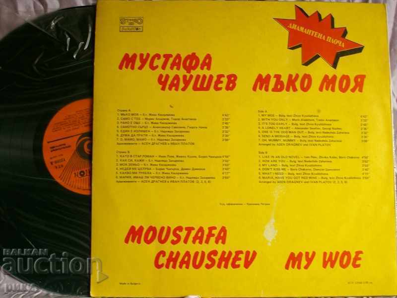 BTA 12566 Mustafa Chaushev - My Mouse Diamond Plate - 1989 with price 20.00 BGN | € 10.23 BTA 12566 Mustafa Chaushev - My Mouse Diamond Plate - 1989 with price 20.00 BGN | € 10.23