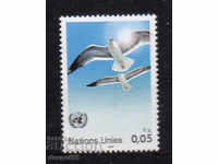 1986. UN - Geneva. Gulls.