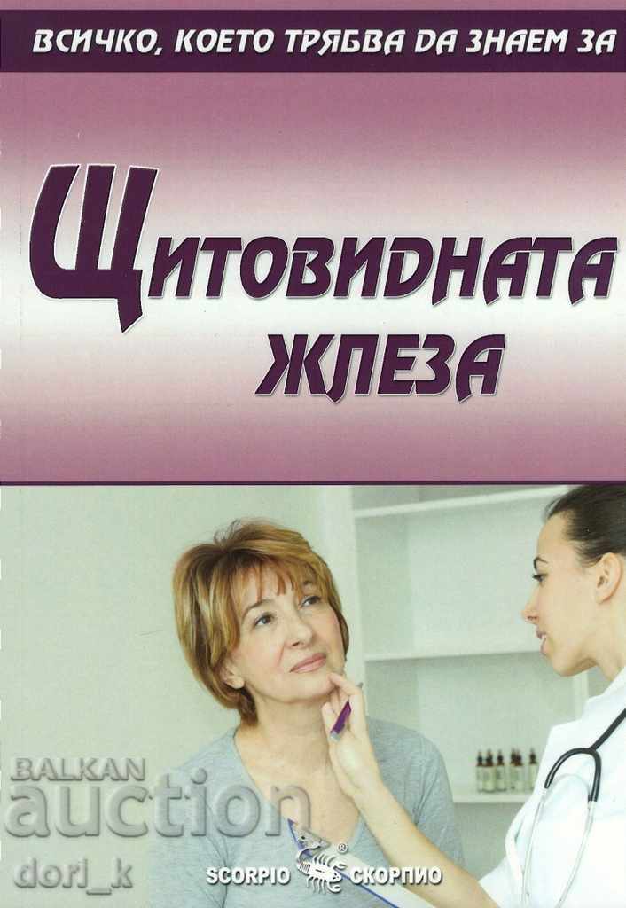 Θυρεοειδής Αδένας Θυρεοειδής Αδένας